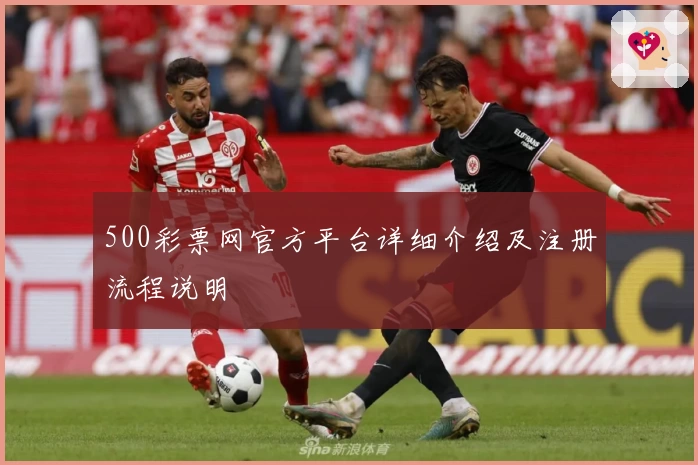 500彩票网官方平台详细介绍及注册流程说明